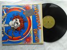 DOUBLE 33 LP DES GRATEFUL DEAD  ''GRATEFUL DEAD ''
