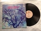 33 LP D' AMON DUUL II  '' PALLUS DEI ''