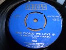 MINA-This World We  Love In VINYL 7