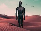 Like Moths to Flames - Dark Divine [New Vinyl LP] UK - Import