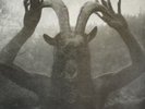 LP - Cough / Windhand - Reflection Of The Negative