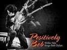 Positively Bob: Willie Nile Sings Bob Dylan [VINYL] Willie Nile Vinyl
