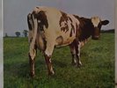 LP PINK FLOYD / ATOM HEART MOTHER / SHVL 781 ORIGINAL FRANCE / SUPERBE