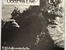 BLUE OYSTER CULT Godzilla U.S. 45 studio / live 7” w/ promo picture sleeve 1977