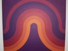 Fantastic Plastic Machine - Luxury (LP) 718756155416