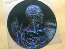 TOOL LATERALUS MEGA RARITY PROMO PICTURE DISC in 2005 USA MINT