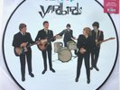 The Yardbirds HAVING A RAVE UP WITH Album Picture Disc GET547P