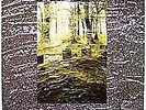 The Celibate Rifles Blind Ear NEAR MINT Rattlesnake Vinyl LP