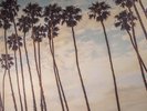 YOUNG GUN SILVER FOX - West End Coast - Vinyl (gatefold LP)