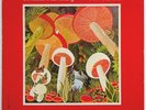 The Mutual Understanding IN WONDERLAND  Canadian psych LP