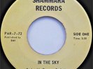 GREEN LIGHT In the Sky   Modern Soul 45 LISTEN  Shammara Records