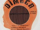 MANUEL GONZALEZ CUMBIA INCAICA CUMBIA ORGANO MOOG BREAKS PSYCH MEXICAN VERSION