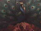 Sorceress [LP] by Opeth (Vinyl, Sep-2016, Nuclear Blast)