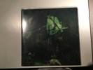 Feathers by Dead Meadow sleep high on fire melvins