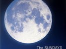 The Sundays ?- Static & Silence LP - SEALED Clear - Record Store Day 2017 RSD