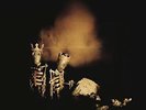 PEARL JAM-RIOT ACT  VINYL LP NEW