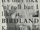 Birdland Kamikaze Kids UK vinyl LP album record BLEACH04 PEROXIDE 1990