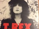 T Rex The Slider Vinyl