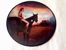 RED HOT CHILI PEPPERS DANI CALIFORNIA LTD EDT 7
