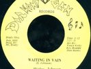 SHIRLEY JOHNSON Waiting In Vain MODERN SOUL/FUNK 45 on DIAMOND GEM VG+