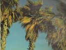 Azymuth Live At Copacabana Palace NEAR MINT Sba Vinyl LP