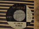 THE MONZAS 45RPM HEY I KNOW YOU / FOREVER WALKS A DRIFTER