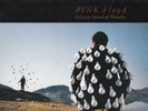 PINK FLOYD - Delicate Sound Of Thunder Live (Columbia PC2 44484) VINYL NM/VG+