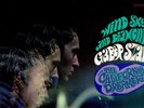 GABOR SZABO    