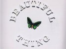 The Stone Roses – Beautiful Thing – Limited Edition 12-inch Record