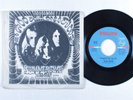 Psych Rock 45 BLUE CHEER Summertime Blues PHILIPS picture sleeve