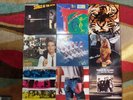 1980's LOT#2  9 LP's  Bruce Springsteen, Police, REO Speedwagon, Survivor, ETC.