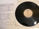Johnny Van Zant Band (Lynyrd Skynyrd Rel) / Test pressing / Wild Ones / Mint