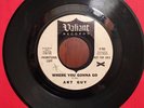 ART GUY   Where You Gonna Go    promo FUZZ garage killer   VALIANT  $