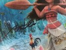 DISNEY MOANA SIGNED PICTURE DISC VINYL D23 EXPO