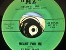 Billy James & The Crystaltones 45 Rare KILLER Doo Wop Rocker '62 Meant For Me M-