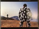 Pink Floyd ?– Delicate Sound Of Thunder - EMI ?– 198-7 91480 1 - Vinyl - LP