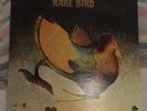 Rare Bird,Probe 4514, 