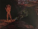 BIG SLEEP (aka EYES OF BLUE) BLUEBELL WOOD UK VINYL PEGASUS PEG-4 - 1971
