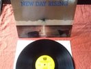HÜSKER DÜ  NEW DAY RISING; RARE GERM AGGRESSIVE ROCKPRODUKTION     KRAUTROCK LOT