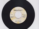 PROPHET/ KING OF KINGS   -  WAYNE WADE (76 REGGAE ROOTS 7