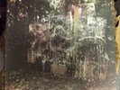 LA DISPUTE WIldlife 2xLP yellow vinyl No Sleep emo