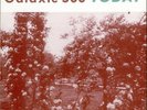 Galaxie 500 vinyl LP album record Today Dutch SDE8908 SHIMMY DISC 1989