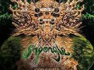 SHPONGLE - CODEX VI NEW VINYL
