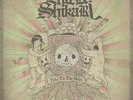 ENTER SHIKARI - Take To The Skies (reissue) - Vinyl (2xLP)
