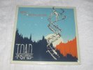 TOAD The WET SPROKET: New Constellation