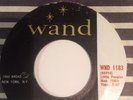 Diane Lewis - I Thank You Kindly WAND WND1183 USA Northern Soul