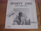 Shakey Jake - Make It Good To You - Good Time - Scarce