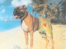 Ian Dury & The Blockheads, Mr Love Pants  Vinyl Record/LP *NEW*