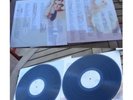 Celine Dion Falling Into You Vinyl 1st Pressing 2 LP Plus Inserts 1996 Rare