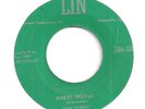 DON TERRY : Knee's Shakin' / She Giggles (LIN ) Orig Rockabilly Bopper 45 LISTEN